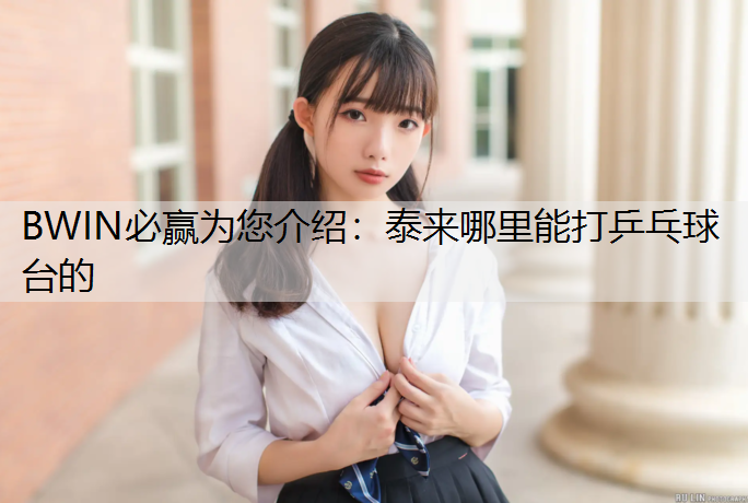 泰来哪里能打乒乓球台的