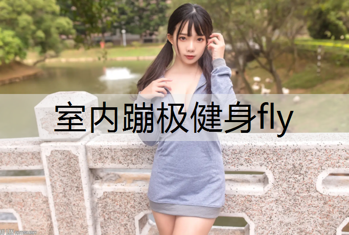 室内蹦极健身fly